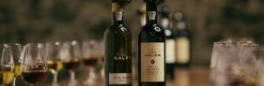 Cálem Cellars